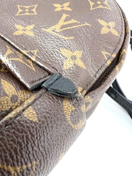 Louis Vuitton Palm Springs Mini Monogram Backpack Bag main image 14